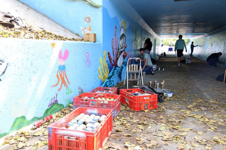 Fietstunnel onder de Pleyroute opgeluisterd met street art